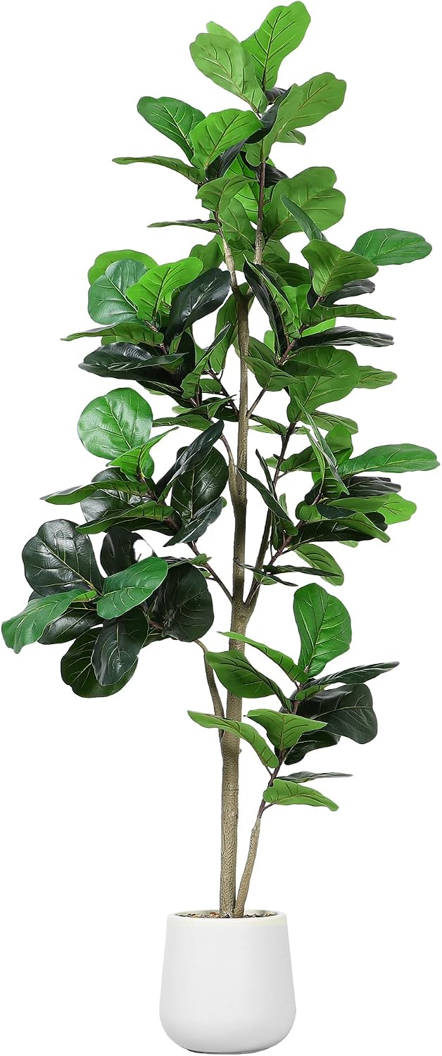 Ficus Lyrata Tree - 7ft Yapay Keman Yaprağı Ağacı Sahte
