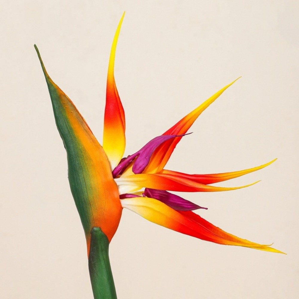 Yeni Uzun Saplı Yapay Cennet K - Bird Paradise Strelitzia incelemesi ve fiyatı