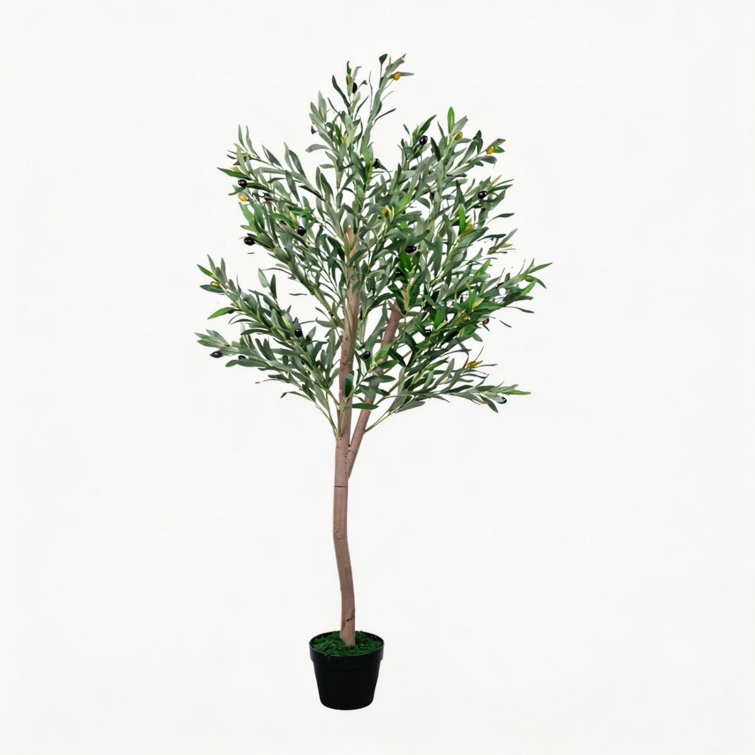 5FT Yapay Zeytin Ağacı, Doğal  - Dracaena Marginata incelemesi ve fiyatı