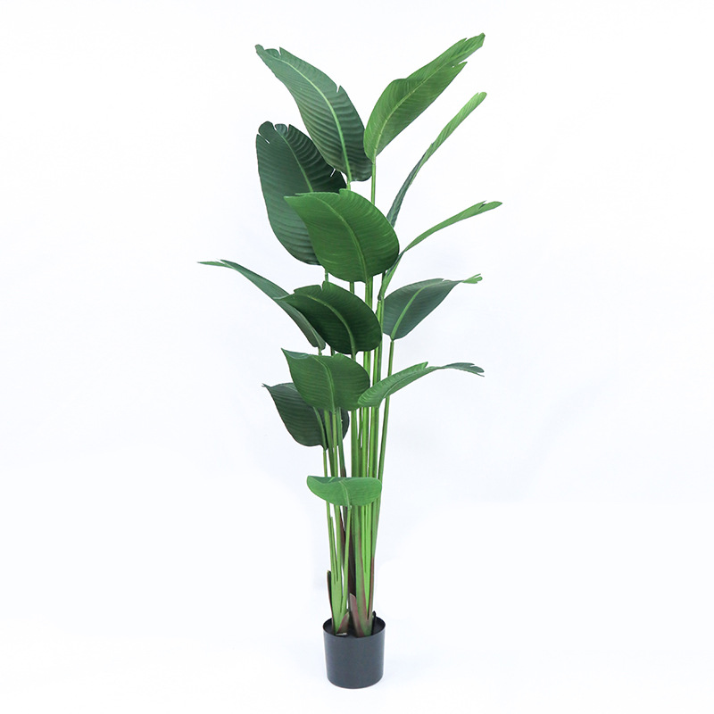 Yapay Plastik Saksıda ​ Cennet - Bird Paradise Strelitzia incelemesi ve fiyatı