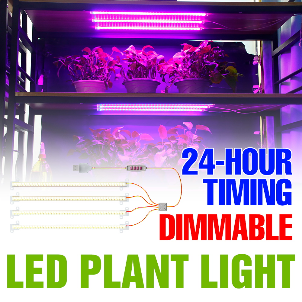LED Kapalı Bitki Işık Çubuğu U - Echeveria Succulent incelemesi ve fiyatı