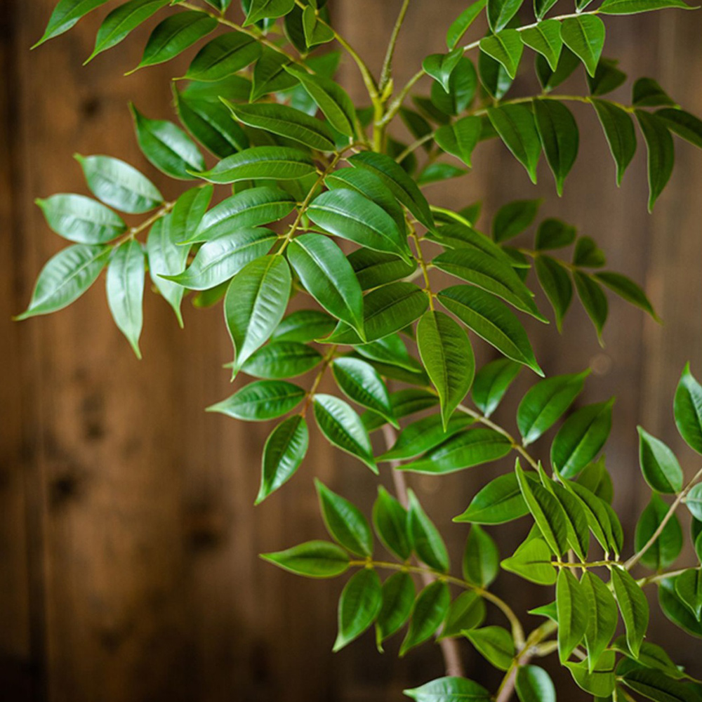 76-140 cm Büyük Yapay Ficus Ağ - Ficus Lyrata Tree incelemesi ve fiyatı