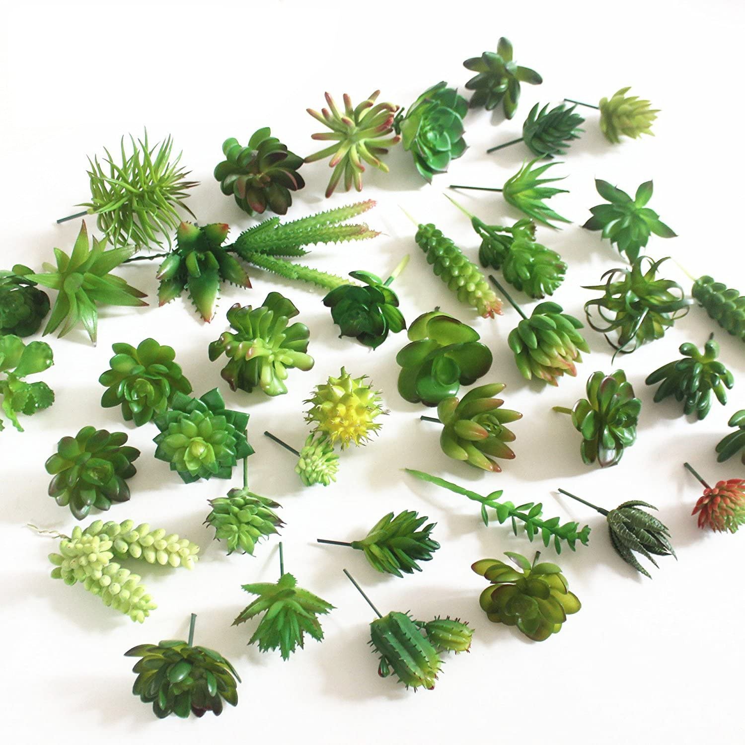15 adet yapay etli bitkiler de - Echeveria Succulent incelemesi ve fiyatı