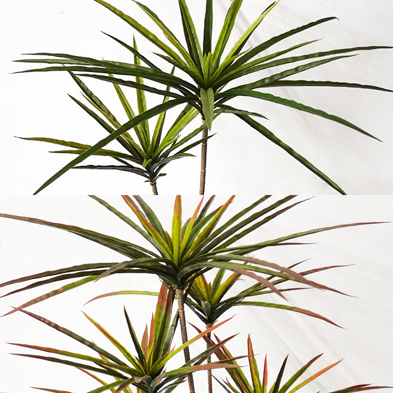 90-120cm büyük yapay Dracaena  - Ficus Lyrata Tree incelemesi ve fiyatı