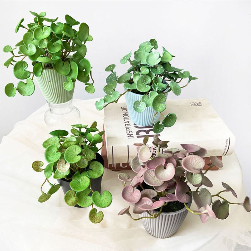 Yumuşak Tutkal Yapay Bitki EVA - Echeveria Succulent incelemesi ve fiyatı