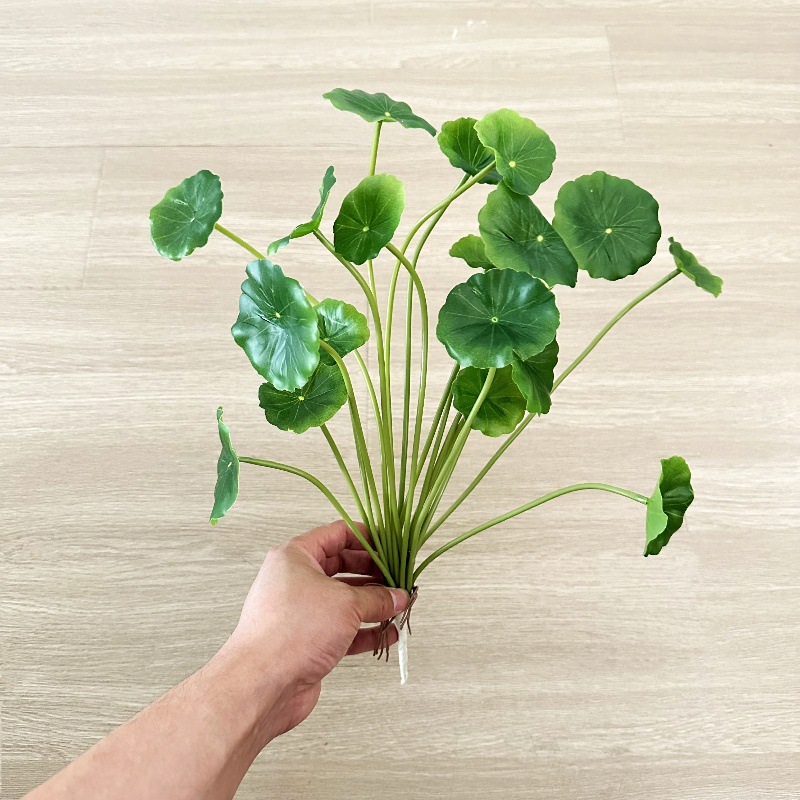 2 adet Yapay Pilea Peperomioid - Pilea Peperomioides incelemesi ve fiyatı