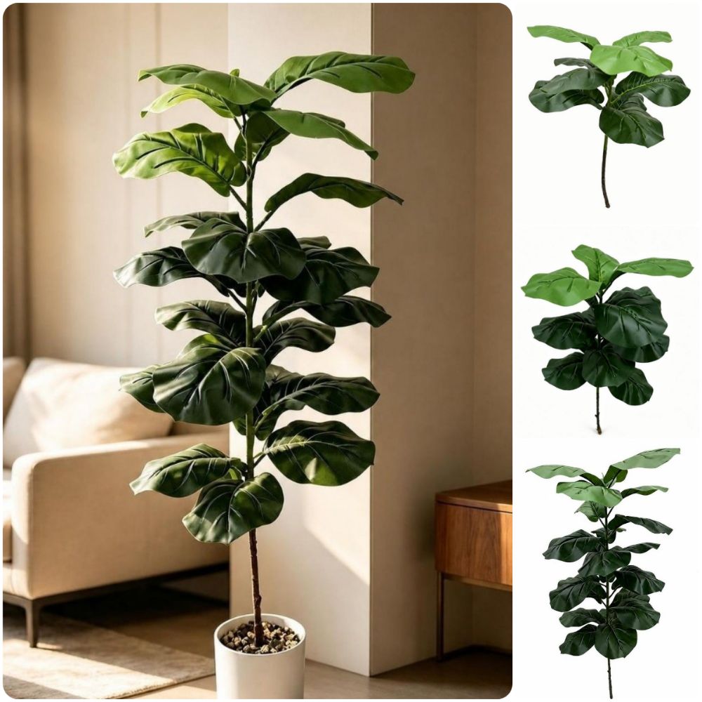 9/15/23 Yapay Ficus Lyrata Büy - Ficus Lyrata Tree incelemesi ve fiyatı