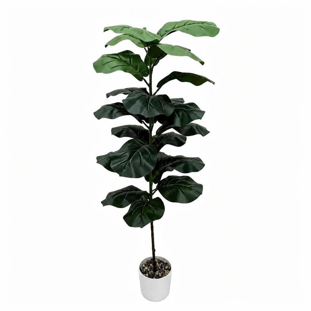 9/15/23 Yapay Ficus Lyrata Büy - Ficus Lyrata Tree incelemesi ve fiyatı